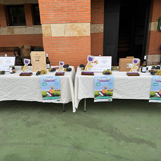 Trofeos Cross I Racimos